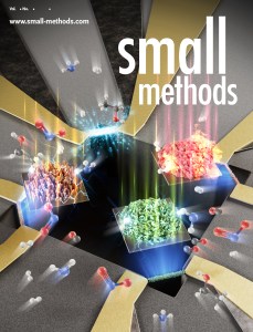 D.D. Orbe†, M. Kang†, I. Park, et al., Small Methods, Inside Back Cover Article